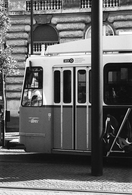 Fotos de stock gratuitas de blanco y negro, Budapest, calle