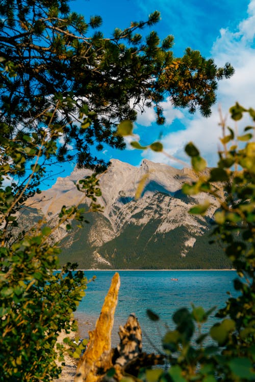 Δωρεάν στοκ φωτογραφιών με banff εθνικό πάρκο, rocky mountains, ακτή