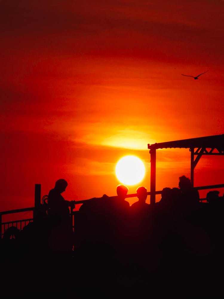 People Silhouette At Sunset On Red Sky