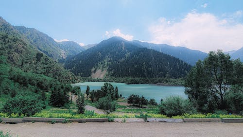 Forest and Hills around Lake Issyk in Kazakhstan