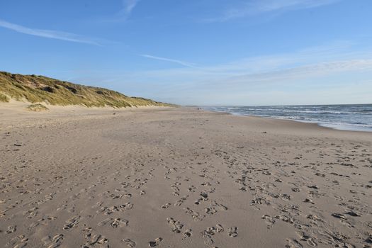 A tranquil beach scene featuring sandy shores and dunes under a clear blue sky.