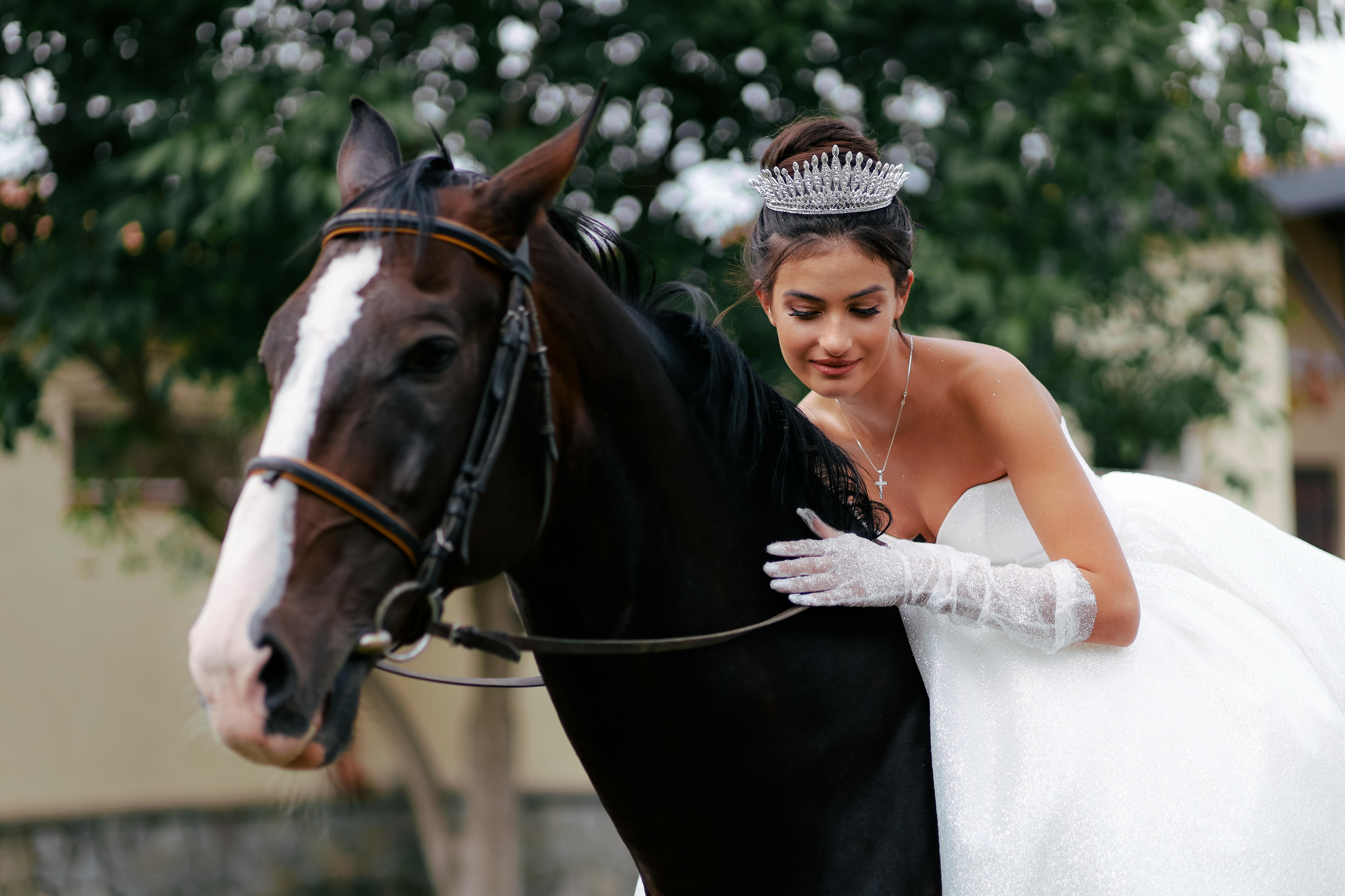 Cavalo Com Alças PNG Imagens Gratuitas Para Download - Lovepik