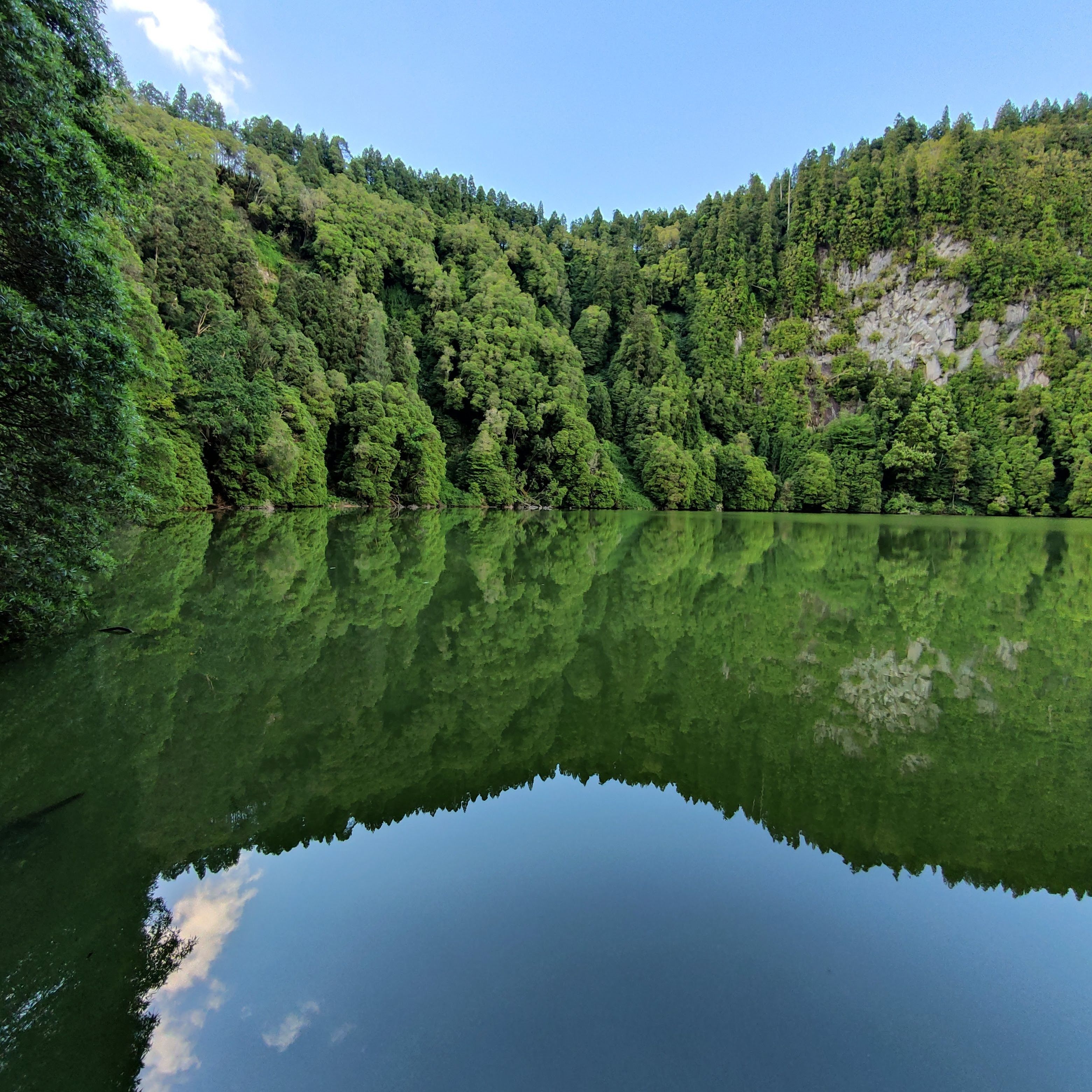 Lake Surrounded by Steep Rocky Slopes Covered with Forest · Free Stock ...