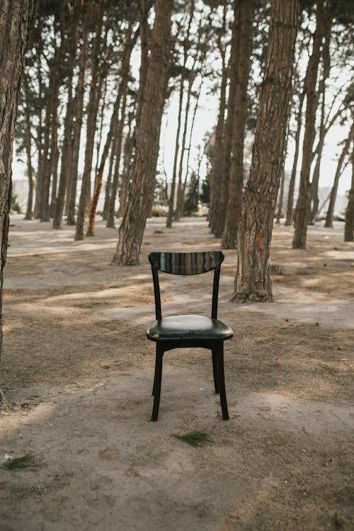 Darmowe zdjęcie z galerii z drzewa, krzesło, opuszczony