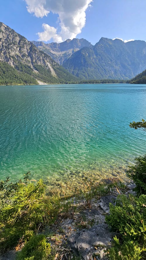 奧地利, 清澈的水, 湖 的 免費圖庫相片