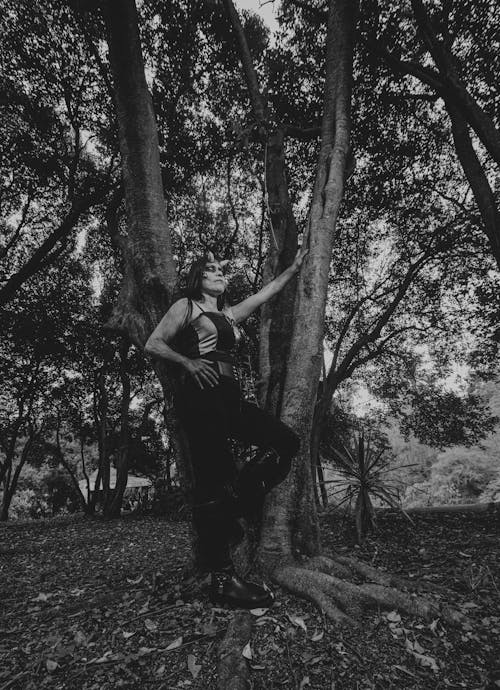 ağaç, ayakta, borazanlar içeren Ücretsiz stok fotoğraf