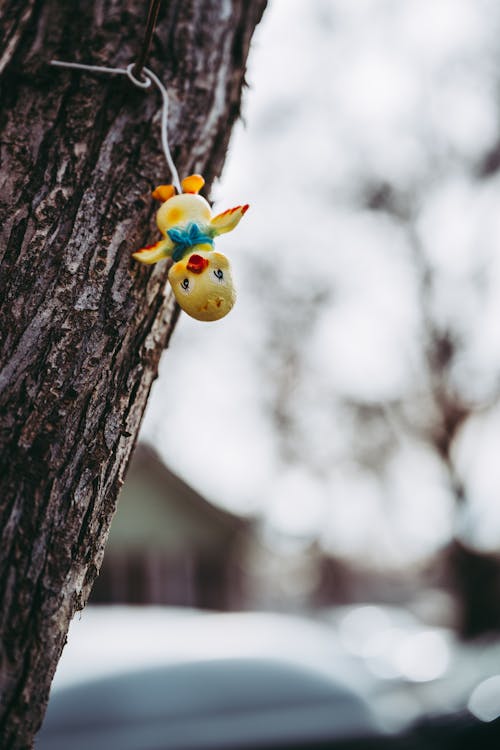 Duck Figurine Hanging Upside Down on a Nail Stuck in a Tree