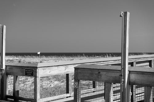 Boardwalk over the Dunes 1 Black and White