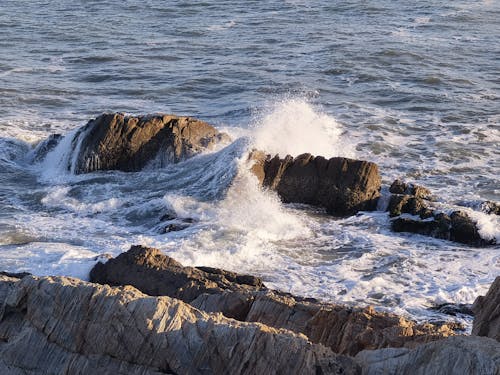 Foto profissional grátis de beira-mar, litoral, mar
