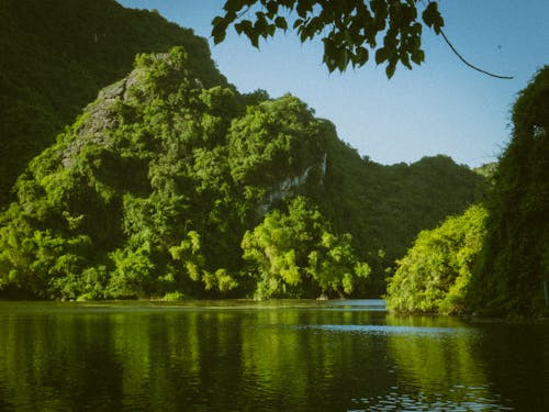 River in Summer