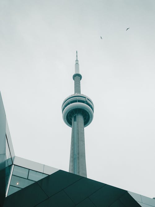 Fotobanka s bezplatnými fotkami na tému CN Tower, Kanada, miestne pamiatky