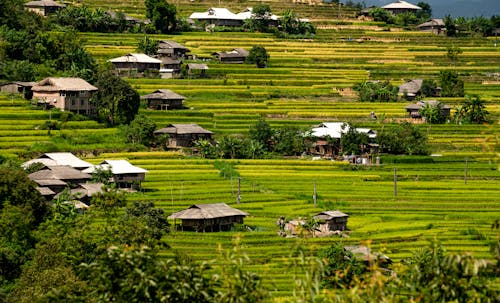 Photos gratuites de agriculture, campagne, collines