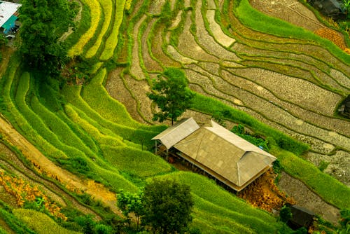 Barn and Outbuildings on Terraced Fields