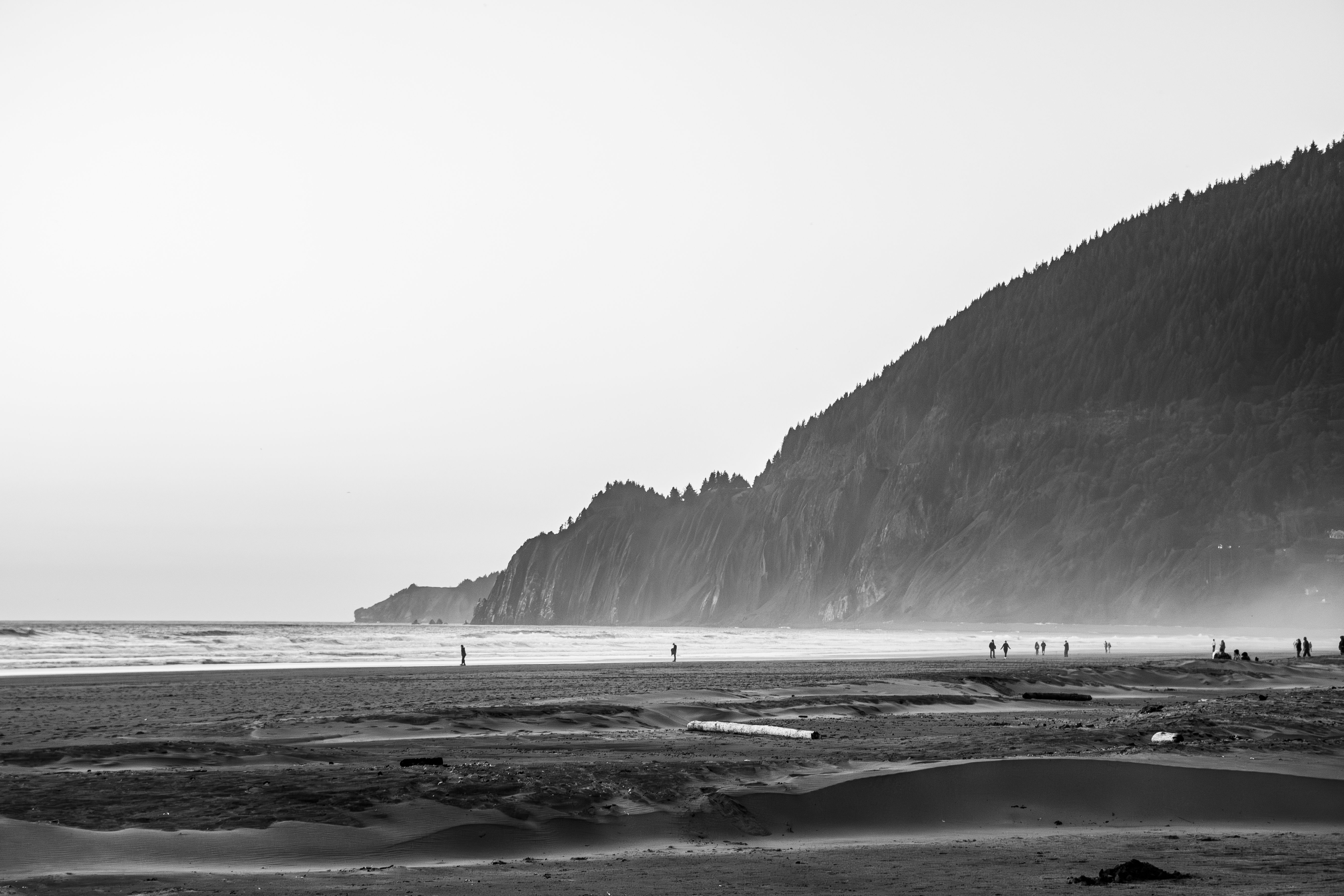 Black and White Photo of the Coast · Free Stock Photo