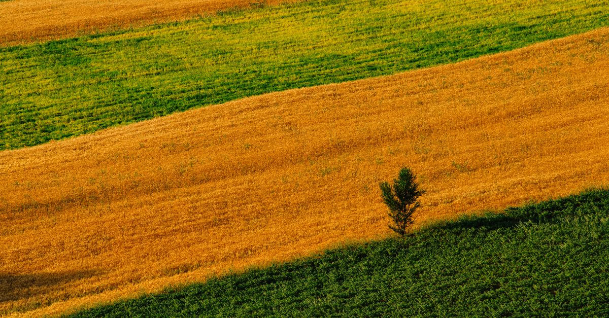 franco fontana