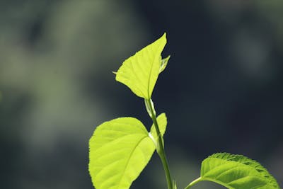 一年级好句好词大全 一年级最短好句