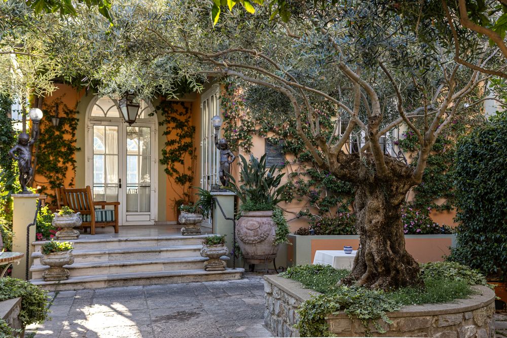 The Quiet Courtyard