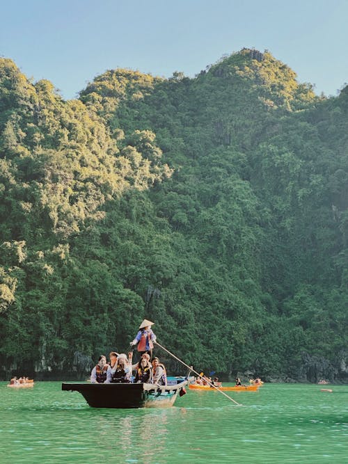 Δωρεάν στοκ φωτογραφιών με βιετνάμ, βουνά, δέντρα