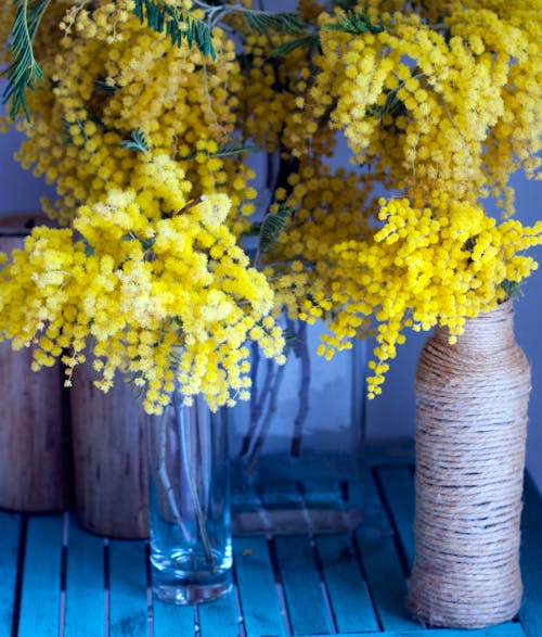 Foto d'estoc gratuïta de enfocament selectiu, flors grogues, gerros