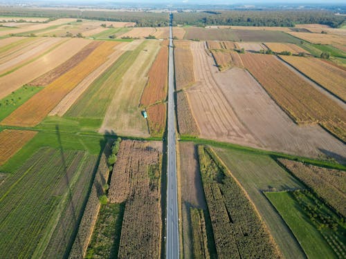 Kostnadsfri bild av drönarbilder, fågelperspektiv, fält