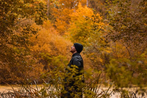 Man in Black Leather Coat and Beanie Hat Standing in Autumn Forest