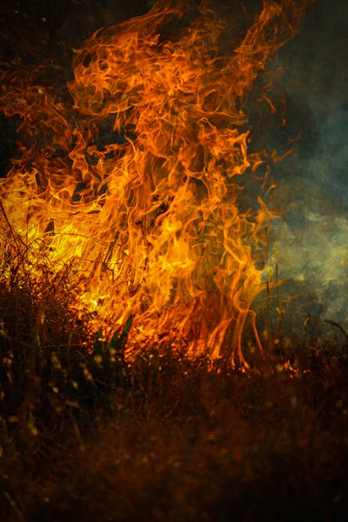 Close-up of Burning Flames 