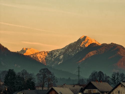 Imagine de stoc gratuită din acoperișuri, apus, arbori