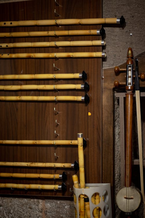 Бесплатное стоковое фото с духовой инструмент, музыкальный, музыкальный инструмент