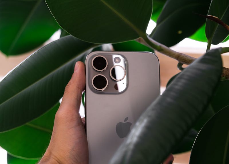 iphone 14 pro max качество фото