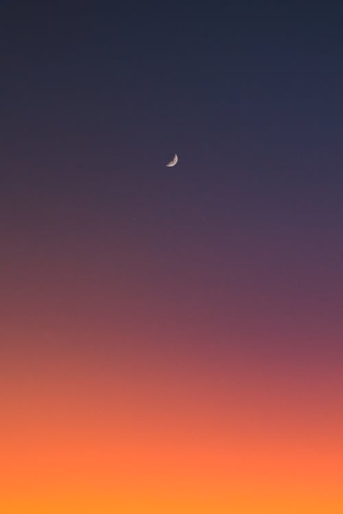 Crescent on Sky at Sunset