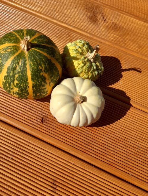 Fotos de stock gratuitas de agricultura, caer, calabaza