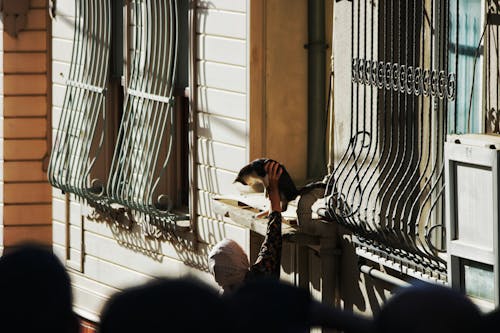 Kostenloses Stock Foto zu fensterbrett, frau, heben