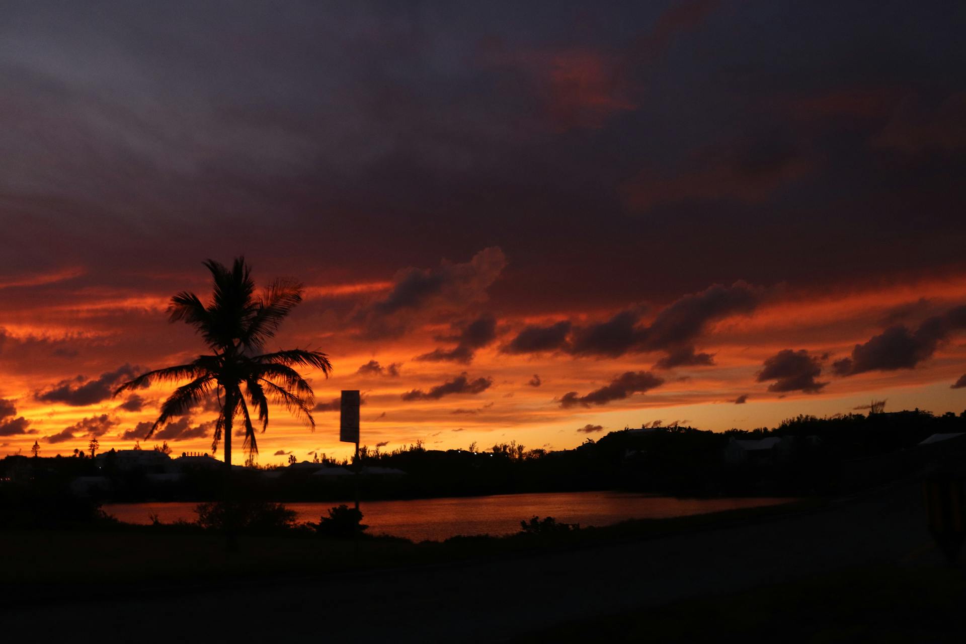 Breathtaking sunset in Bermuda with a striking silhouette of a palm tree against vibrant skies.