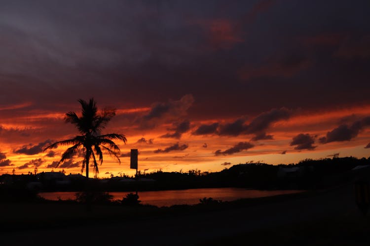 Tropical Landscape With Sunset