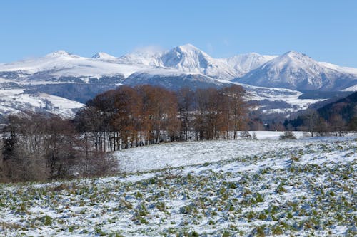 冬, 山岳, 木の無料の写真素材