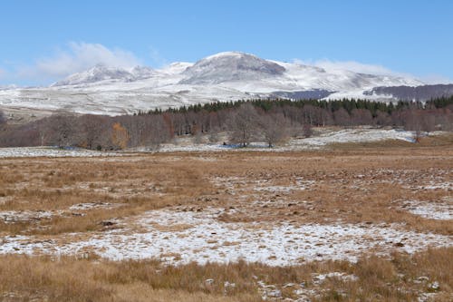Plains and Hills in Winter