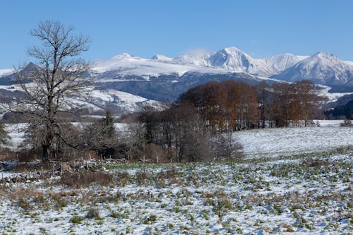 フェンス, 冬, 山岳の無料の写真素材