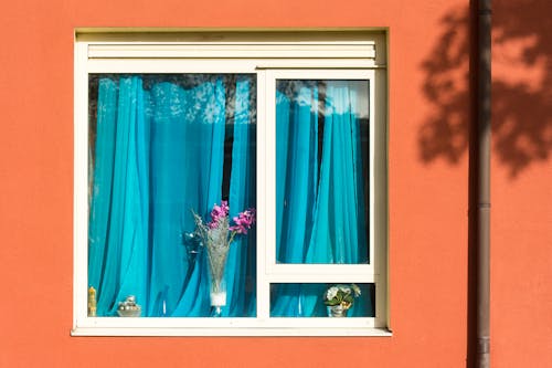 Kostenloses Stock Foto zu blauer vorhang, blumen, fenster