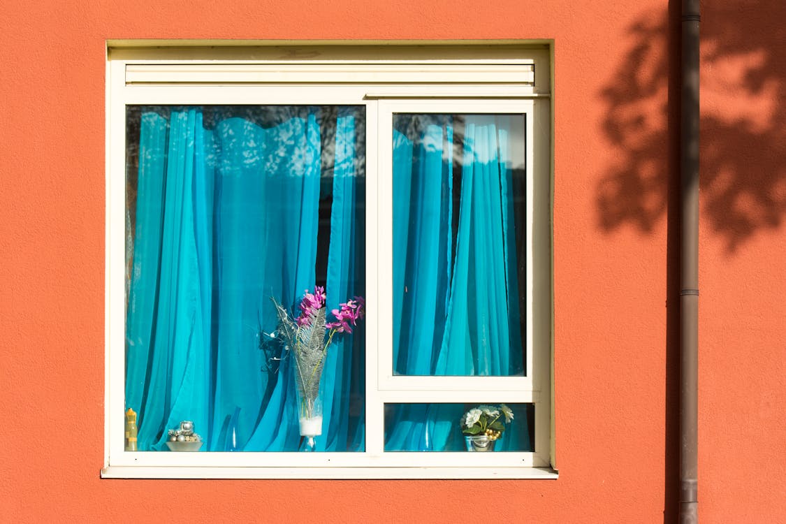 Kostnadsfri bild av blå gardin, blommor, bostad