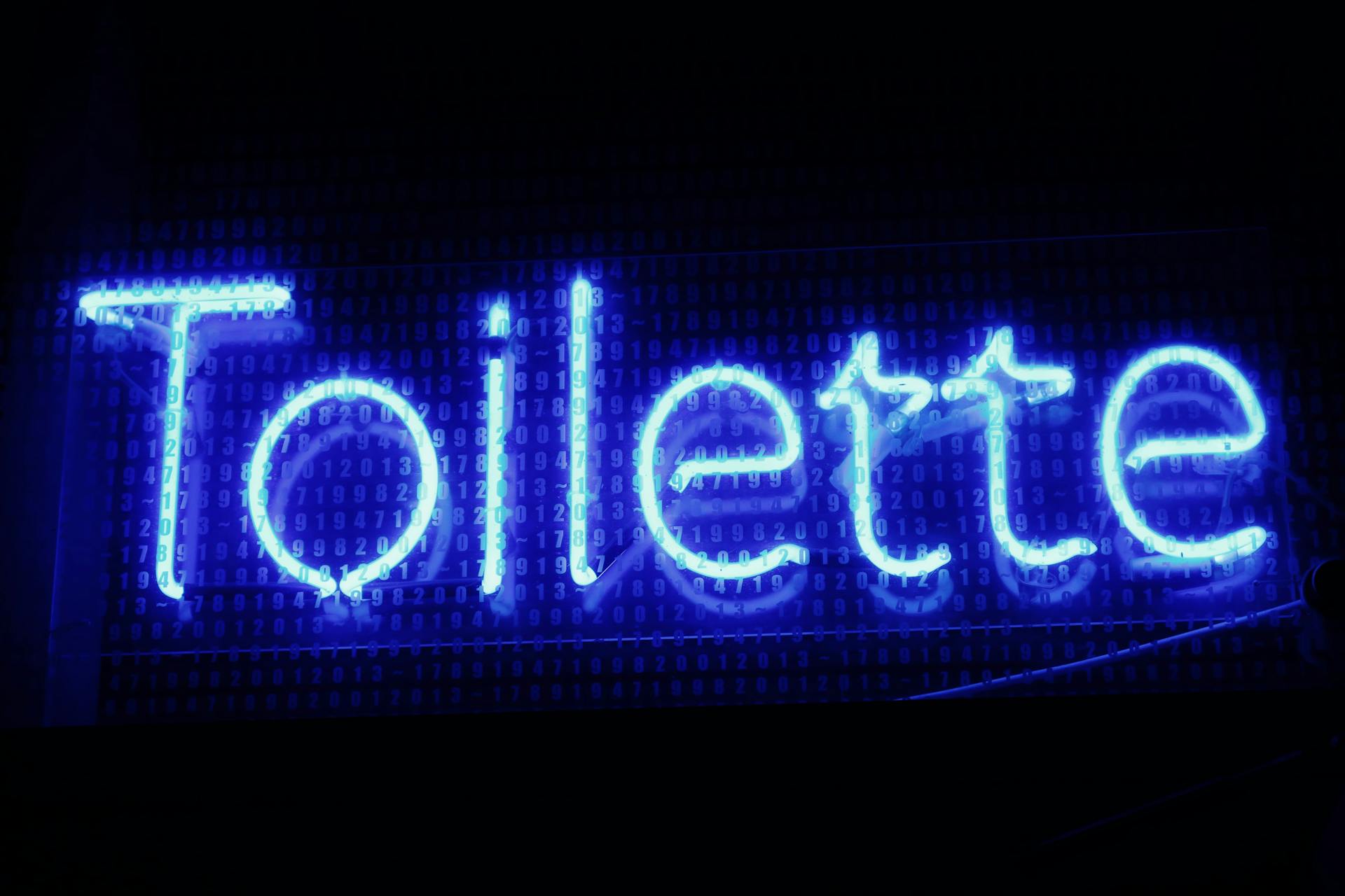 Bright blue neon 'Toilette' sign in Budapest with digital background, perfect for tech-inspired decor.