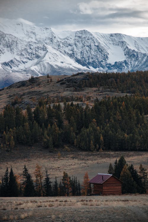 Wooden Hut in Mountain with the View of Snowcapped Peaks