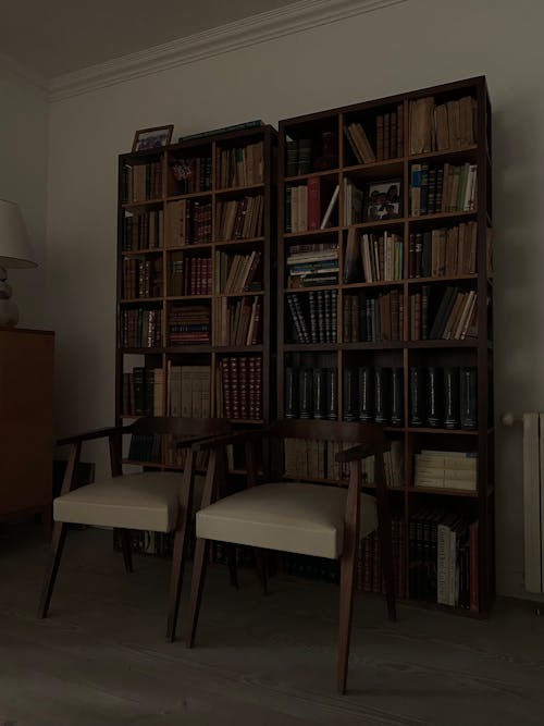 Two Chairs and Bookshelves 