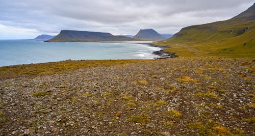 Gratis lagerfoto af bakker, græsarealer, grøn