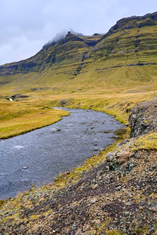 Gratis lagerfoto af bakke, flod, grøn