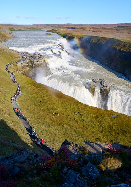 アイスランド, かもめ, トレイルの無料の写真素材
