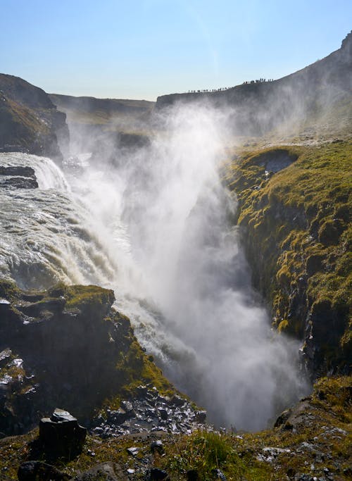 アイスランド, かもめ, 垂直ショットの無料の写真素材