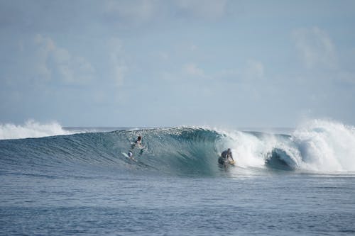 Foto d'estoc gratuïta de escena de surf, fotografia de surf