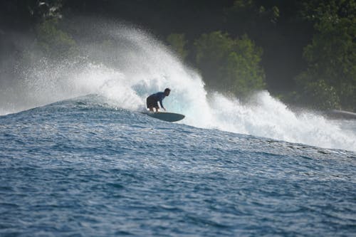 Foto d'estoc gratuïta de escena de surf, fotografia de surf