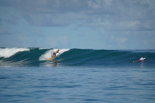 Foto d'estoc gratuïta de escena de surf, fotografia de surf