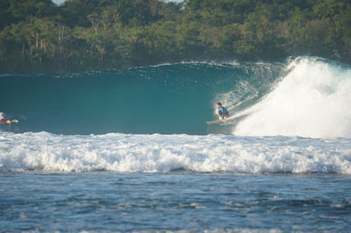 Foto d'estoc gratuïta de escena de surf, fotografia de surf